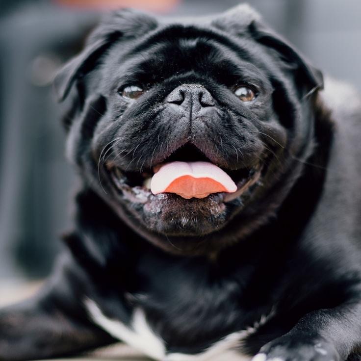 Olivia Tremblay - Founder of Lushalloy Sparse